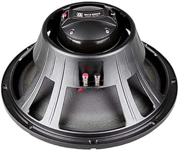 p audio speaker 15 inch price