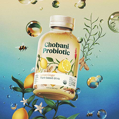 Chobani Probiotic PlantBased Drink, LemonGinger, 14 Fl Oz Pricepulse