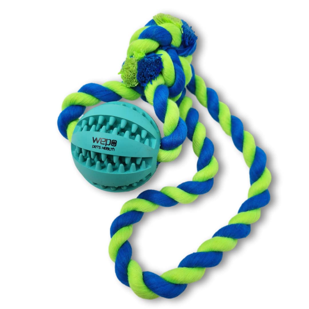 WEPO Dog Toy - Slingshot Ball with Rope Made of Natural Rubber - Ideal for Puppies - Throwing Ball for Dogs - Puppy Toy - Ball with Rope / Cord (5 cm, Mint Green)