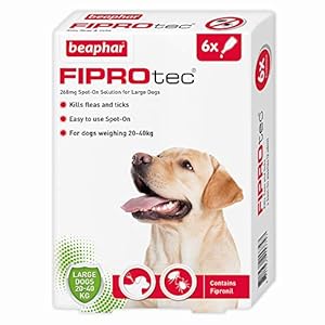 Beaphar-Fiprotec-Spot-On-Large-Dog-6-Pipettes Beaphar | FIPROtec Spot-On for Large Dogs (20–40kg) | Kills Fleas & Ticks | Vet Strength Treatment | 6 Pipettes