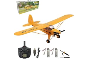 Park10 Toys A160 RC Airplane 3D6G Mode 5 Channels Stunt RC Aircraft for Adults Outdoor Remote Control Plane Model with Brushless Motor and 2 Batteries, Yellow