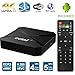 Edal T95E Android TV BOX RK3229 Quad Core 32bit TV Box 1GB/8GB wifi 2.4GHz support 4K HD Video HDMI TV Box