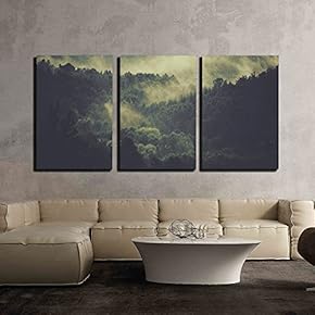 3 Piece Canvas Wall Art - Landscape of Mist Forests - Modern Home Art Stretched and Framed Ready to Hang - 16"x24"x3 Panels