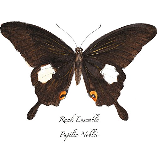 papilio printable vinyl