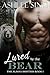 Lured by the Bear (The Alaska Shifters Book 1)