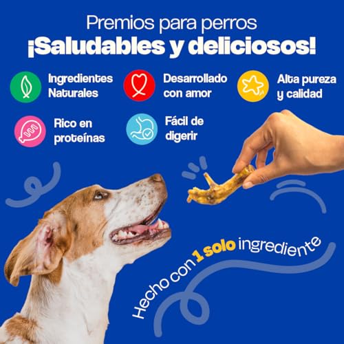 Dogelthy Patas de Pollo Deshidratadas 100% Naturales. Premio para Perros sin Conservadores ni Saborizantes Artificiales. Snacks para Perro. Treats para Cachorros, Adultos y Senior Bolsa con 10 Piezas.