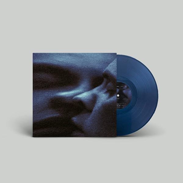 Amazon.com: In Praise Of Shadows: CDs & Vinyl