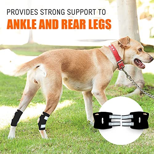 NeoAlly Short Rear Leg Hock Brace, Dog Leg Brace for Rear Leg, Hock