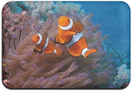 Wyuhmat1 Non-Slip Mat 40x60cm Doormat Clownfish Non-Slip Rug - Collection Kitchen Dining Living Hallway Bathroom Pet Entry Rugs