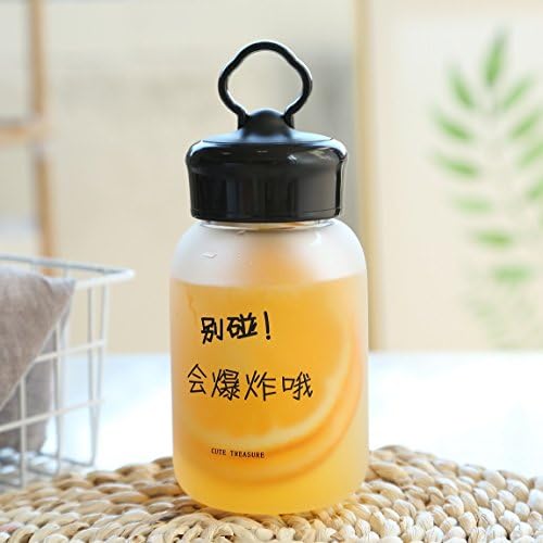 ZDZDZ DXGYBL620 Portable Sports 500ML/17OZ Tea Infuser Clear Cute Durable Glass Water Bottles Mouth with Lids Strap for Beverage Storage Eco Friendly & BPA Free - Reusable, Leak Proof