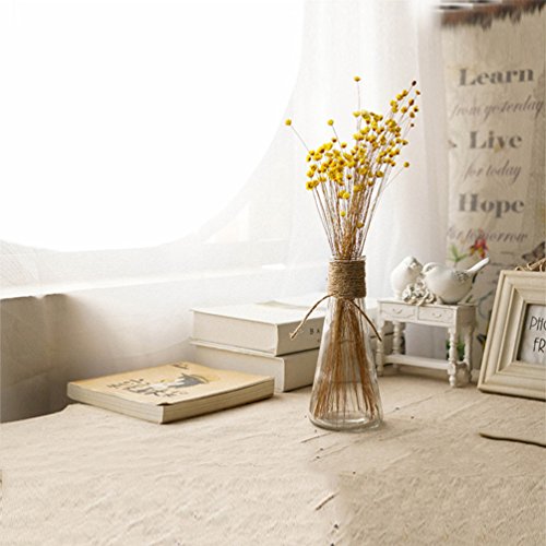 100 Stems Natural Dry Flowers Brazilian Small Star Daisy Decorative Dried Flowers Mini Daisy Chamomile Bouquet for Wedding Floral Arrangements Home Decorations (Autumn Color)