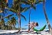 Lazy Monk 2 Person Hammock w/Tree Straps | Portable Foldable Parachute Double Hamock Outdoor, Travel, Camping | Hamaca para dos | Complete Two People Couple Patio Backyard Outside Hanging Swing Amaca