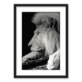 Framed Male Lion in Black White Black Picture...