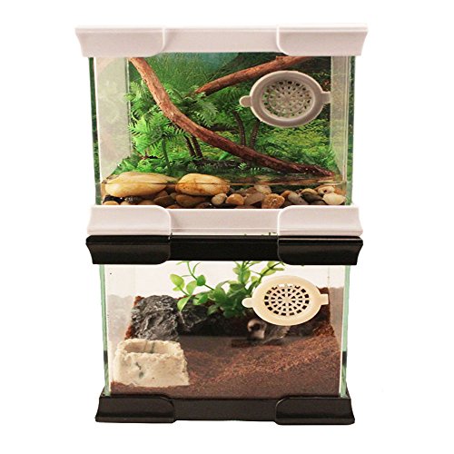 image for BXI Insect Amphibian Reptile Breeding Box - Incubation Terrarium - 10'