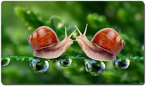 Two Snails XL Size Mouse Pad,Gaming Mouse Pad Mat (13.5x23.5 inches)