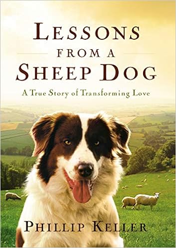 sheepdog story