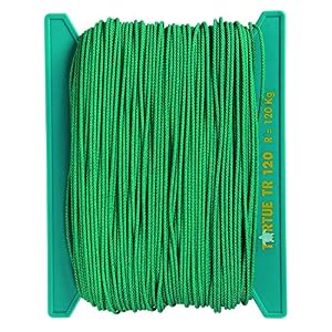 Tortue Tresse Ligne De Fond Tr