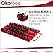 Socket Organizer Tray | Red Tray with Black Clips | Holds 48 Pcs Sockets | Professional Quality Tools Organizer | by Olsa Tools