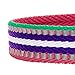 Blueberry Pet Safety Dog Collar with Dual D-Rings | 3M Reflective Multi-Colored Adjustable Collar in Pink, Emerald and Orchid | Soft Nylon Dog Collar for Active Small Dogs
