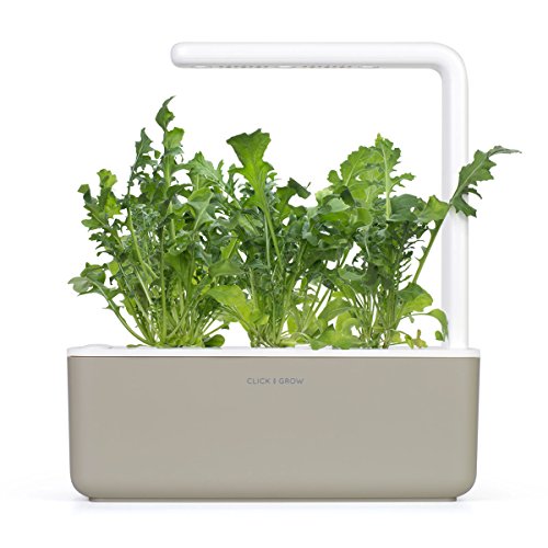 Click and Grow Smart Garden Arugula Plant Pods, 3-Pack