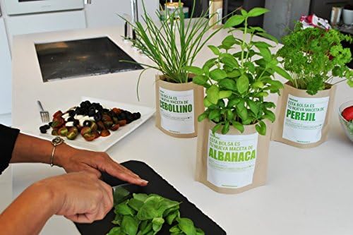 Garden Pocket - Kit de Cultivo de STEVIA - Bolsa Maceta: Amazon.es ...