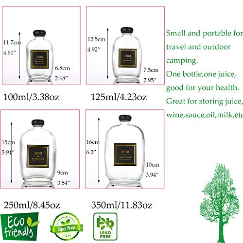 6 Packs Small Juice Mini Glass Liquor Wine Bottles for Beer Milk Beverage Perfume Oil Sauce Whiskey Soda Liquid Storage Honey Drink Containers with Leak Proof Cap (100ML/3.38OZ, Frosted Glass)