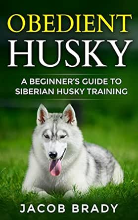 siberian husky training guide