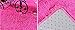 ACTCUT Super Soft Indoor Modern Shag Fur Area Rugs Fluffy Rugs Anti-Skid Shaggy Kids Rug Dining Room Home Bedroom Carpet Floor Mat 4 x 5 Feet, Hot Pink