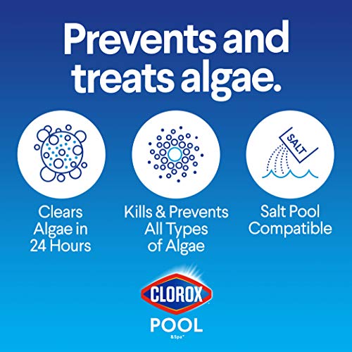 Clorox Pool&Spa XtraBlue Algaecide 40 oz Pricepulse