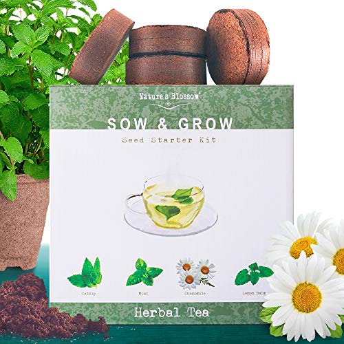 Grow 4 Herbs for Making Herbal Tea Indoor Garden Seed Starter Kit for