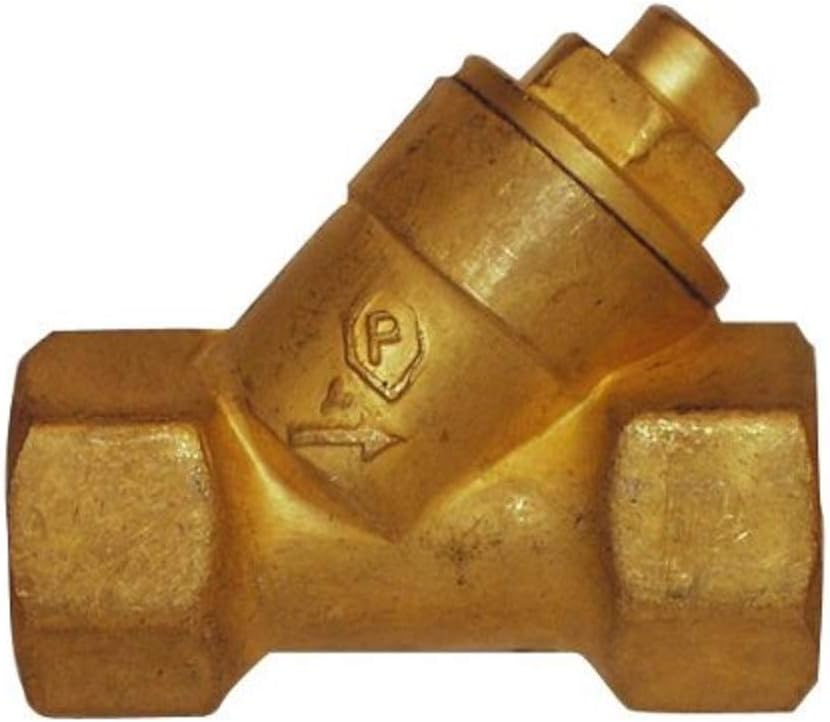 CORNAT T576003 1-inch Non-Return Valve, 1 Zoll