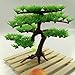 MMdex Artificial Green Tree Plastic Plant Decor for Aquarium Fish Tank, Bonsai for Hotel Rockery Ornament