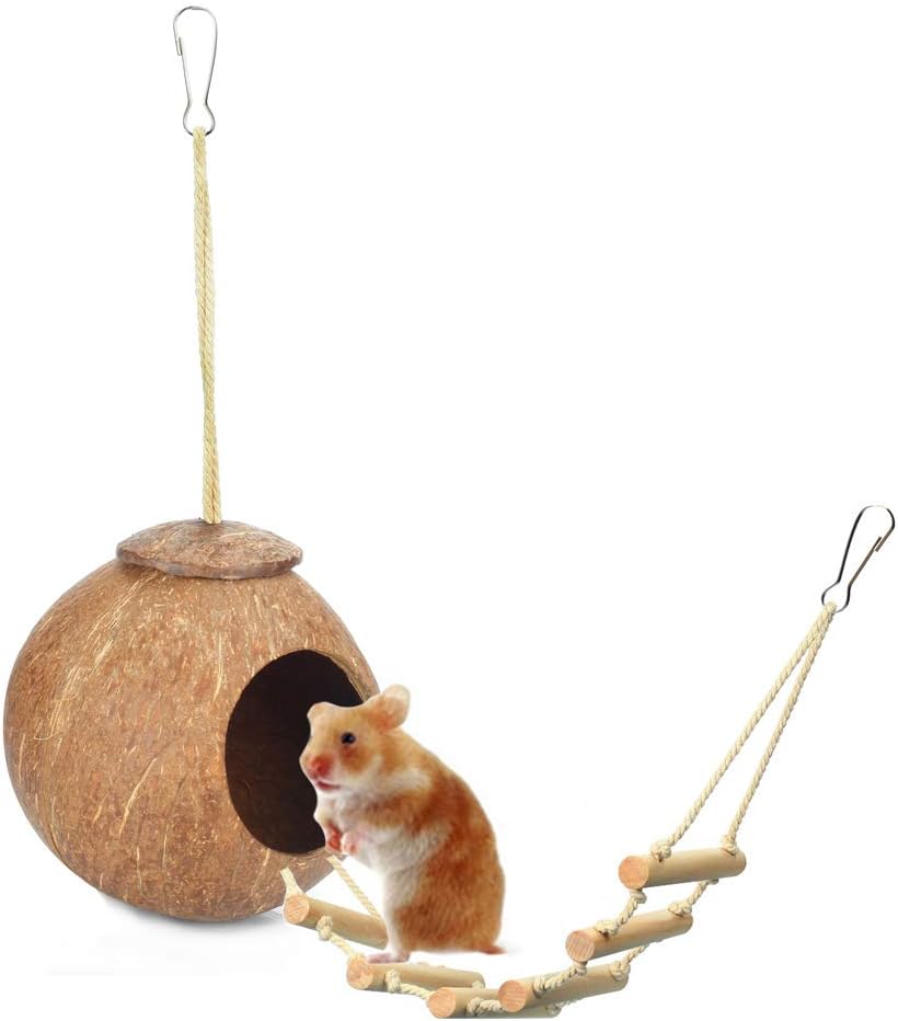 The 10 Best Coconut Hide Ladder