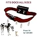[NEW 2018 VERSION] Bark Collar with UPGRADED Smart Chip - Best Intelligent Dog Shock, Beep Anti-Barking Collar. No Bark Control for Medium/Large Dogs over 10 LBS - Stop Barking Safe