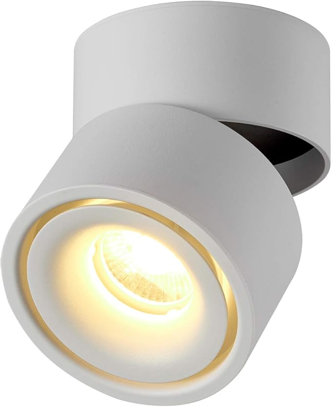 TOPMO 10W Indoor LED Ceiling Spotlight Fixture Surface Mounted Accent