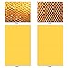The Best Card Company - 10 Blank Greeting Cards with Animals (4 x 5.12 Inch) - Assorted Pets, Wildlife Kid Cards - Honey I'm Home M3060
