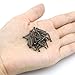 Linwood Small Smooth Round Head Nails Multi-Purpose for DIY Decorative Pictures Boxes Household Accessories (1×8mm, Bronze)