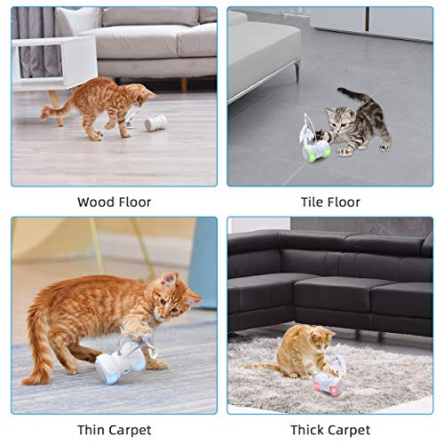 Pakoo Interactive Robotic Cat Toys, Remote Control Cat Toys for Indoor