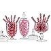 Clear Glass Apothecary Jars - Set of 3 - Wedding Candy Buffet Containers