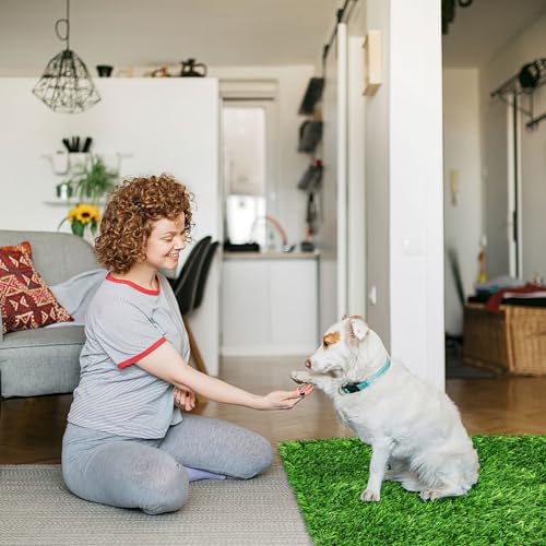 Shindel Artificial Garden Grass, 39.4\