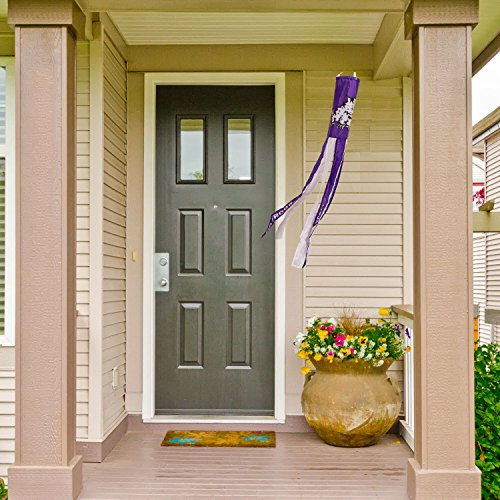 College Flags and Banners Co. Texas Christian Horned Frogs Windsock