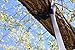 Yarrdee 10 Foot Swing Hanging Strap Kit for Trees