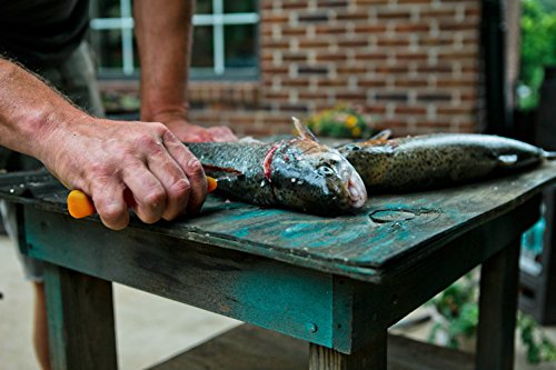 5 UltraSource+Boning+Curved+Semi+Flexible+Polypropylene