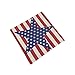 Vintage Style American Flag the Stars and the Stripes Throw Pillow Case, Pillowcase (Big Star)