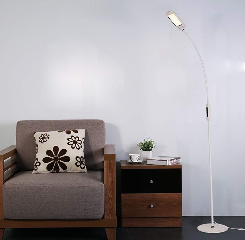 Amazon.com: MA Floor Lamp Dimmable, Intelligent Remote Control Touch
