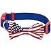Blueberry Pet 2 Patterns Patriotic Spirits American Flag USA Adjustable Bowtie Blue Dog Collar - Handmade Bow Tie w/Jacquard Weave Fabric, Medium, Neck 14.5