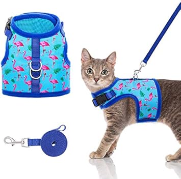 amazon cat harness and lead