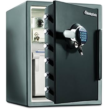 Sentrysafe Sentry Safe Lock Boxes Sfw205grc Fire Chests Safes