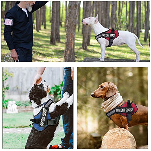 11-Piece Funny Tactical Patches Set - Cute Animal & Witty Phrase Embroidered Hook & Loop Patches For Jackets, Backpacks, Hats