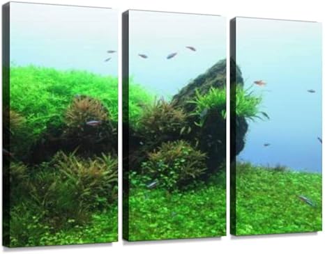 Amazon Co Jp 魚 さかな サカナ 熱帯魚 海 うみ 夏 水族館 自然 青 あお みどり 緑 壁紙 待ち受け なつ 7月 8月 9月 癒し 癒される すずしいモダン アートボード 壁アート 壁掛け モダンアート 壁飾り木枠セット 壁芸術 新築祝い ホーム キッチン